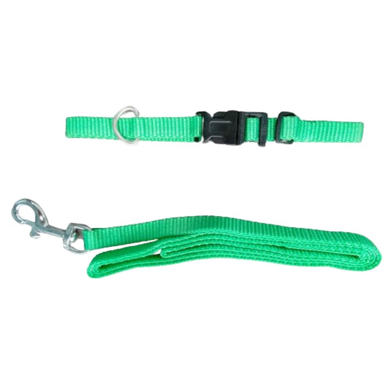 PET Haven LLP Dog Belt Combo Collar with Dog Leash, Adjustable Dog Collar & Leash Colour 4