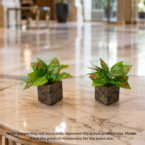 Image of DecoreBugs Artificial Real Touch Flower Plant with Pot (Pack of 2), 16 cm Height, Decorative Faux Floral Plant for Home, Office, Living Room, Bedroom, Table & Shelf Decor