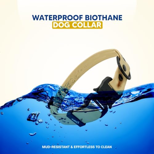 Image of Adil's Biothane Waterproof Dog Collar, Dog Leash & Collar Leash Combo | Heavy Duty TPU Coated Webbing | Adjustable Quick Release Buckle | Odour Resistant (Lemon Green, L-22, Collar only)