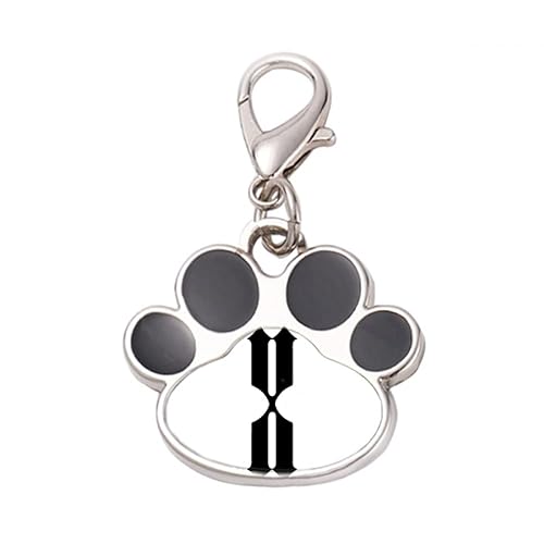 DIYthinker?Roman numerals Ten In Black silhouette Pet Tag Keychain Dog Cat ID
