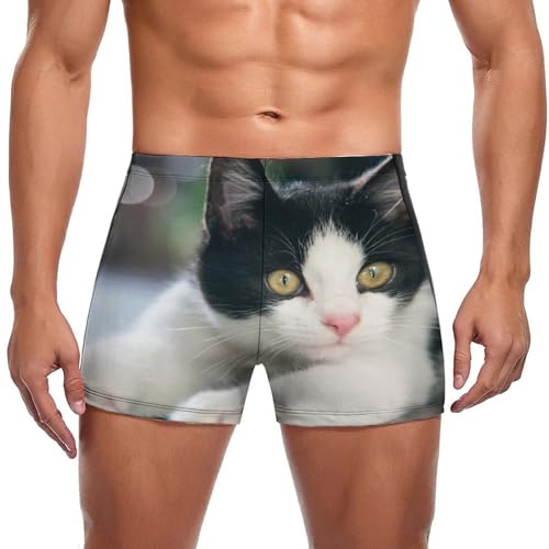 Short de bain chat noir et blanc homme pour vos vacances d'été
