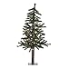 Vickerman 3' Natural Alpine Christmas Tree with 70 Clear lights