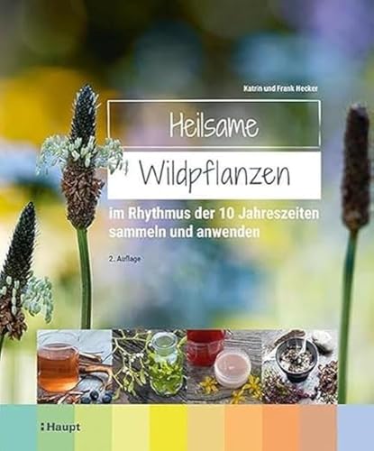 Heilsame Wildpflanzen: im Rhythmus der 10 Jahreszeiten sammeln und anwenden