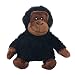 Look Who's Talking Chimpanzee