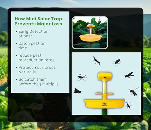 Mini Solar Insect Trap Pack of 5 for Agriculture with UV Light| Solar Light Trap for Agriculture Insects Pests Captures 120 Types Insects| 6 Months Warranty| Dual Work Solar Insect Trap