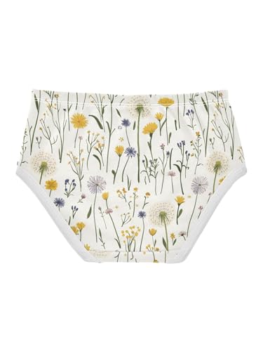 ZZKKO Farm Dandelion Floral Girls Underwear Toddler Panties for Girls Comfort Brief Size 2T2