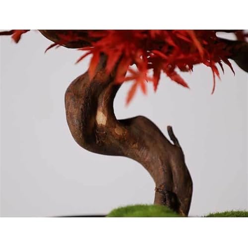 Bonsai artificiel plante d'intérieur érable rouge pour meuble TV salon