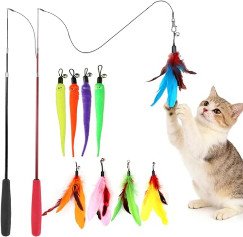 Delieu Interactive Cat Toys Retractable Wand and Feather Toys Refills for Indoor Cats to Chase and Exercise
