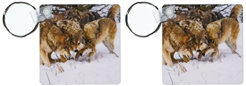 Porte-clés Canis Lupus loup gris 3drose par lot de 2 pour trousseau de clés de voiture