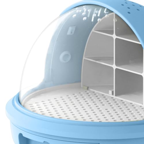 Conteneur pour l'observation de vers à soie avec cage d'élevage bleue - 3