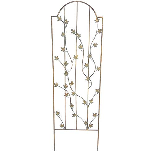 Treillage Jardin Fer Feuilles 50x156cm