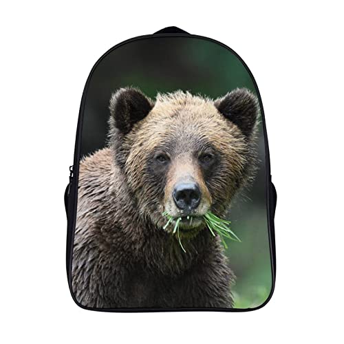 Sac d'école ours 3D le cadeau idéal pour enfants et adolescents pour la rentrée ou le voyage