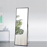 NA Full Body Mirror Full Length Floor Mirror Wall Mounted Free Standing Black Dressing Mirror Over T