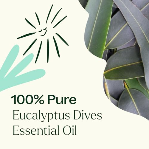 Aceite Esencial Eucalipto Dives 10 mL 100% Puro miniatura 5