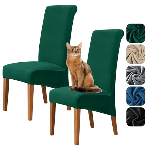 Alishomtll High Back Chair Covers Set of 2, Stretch Velvet XL Dining Chair Slipcovers, Large Size Washable Removable Chair Protector for Dining Room Kitchen Banquet Wedding Party (Green, 2psc)