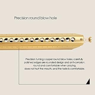 Harmonica Harmonica couleur 16 trous 64 harmonica C instrument professionnel - Les Beatles, Paul McCartney, John Lennon, RIngo Starr, George Harrison Harmonica Harmonica couleur 16 trous 64 harmonica C instrument professionnel – Image 2