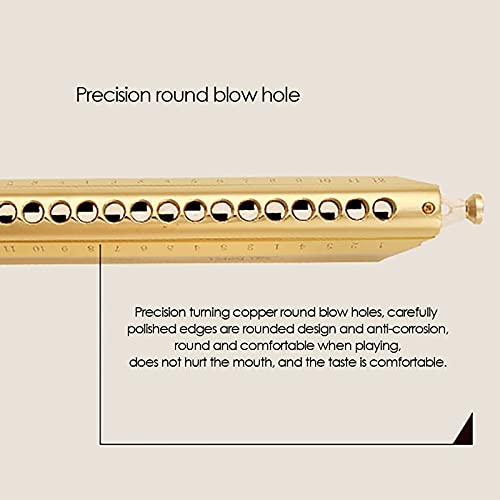 Harmonica Harmonica couleur 16 trous 64 harmonica C instrument professionnel - Les Beatles, Paul McCartney, John Lennon, RIngo Starr, George Harrison Harmonica Harmonica couleur 16 trous 64 harmonica C instrument professionnel – Image 3