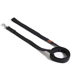 Lana Paws Sturdy Poly Canvas Fabric Dog Leash, Black (L)