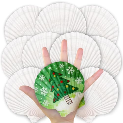 20PCS Large Scallop Shells for Crafts, 4-5 Inch Natural Sea Shells for Decorating, White Seashells Bulk for DIY Crafting, Painting, Baking, Ocean Themed Party Supplies & Decorations