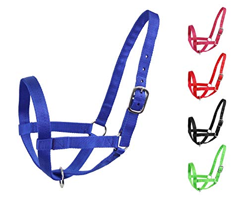 Derby Nylon Cattle Halter for Barn and Turnout in Calf Cow Steer Newborn Sizes (Royal Blue Newborn)