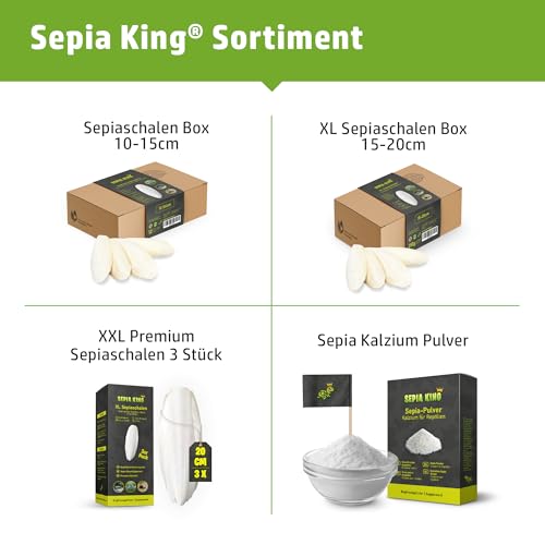 Sepia King ECO Box Sepiaschalen für Schildkröten, Vögel, Reptilien, Bartagame | Premium Sepia Schalen Futter, natürliche Kalzium Quelle, 10-15cm, Terrarium Zubehör
