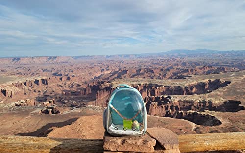 Halinfer BBP Bird Carrier Cage, Bird Travel Backpack Carrier thumb #6