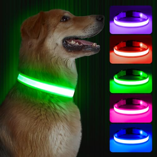 Leuchtendes Hundehalsband