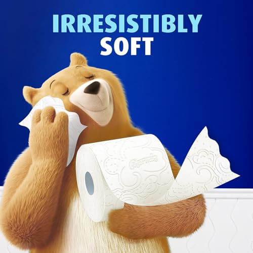 Image of Charmin Ultra Soft Toilet Paper 6 Mega XL Rolls, 336 Sheets Per Roll (Packaging May Vary)