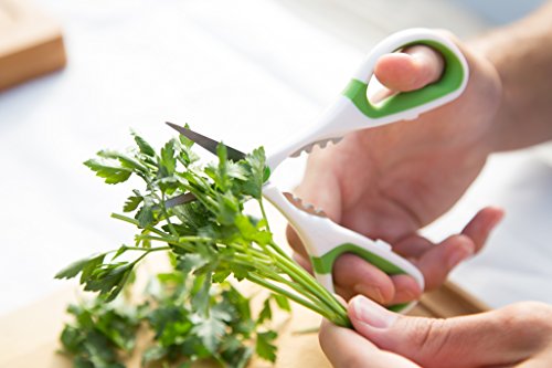 Image of Zyliss Heavy Duty Home & Kitchen Herb Shears Scissors with Innovative Stem Stripper, Versatile Kitchen Shears for Trimming Weeds, Flower Buds & More - White /Green - 8.5 x 4.2 x 0.4 inches