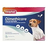 Beaphar - Dimethicare Line-On Flea & Tick Control for Small Dogs up to 15kg – 3 pipettes - Physically Immobilises Fleas, Ticks & Other Parasites - Pesticide-Free - For Small Dogs from 12 weeks old