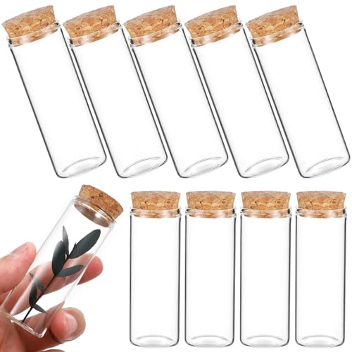 Flacons d'essai en verre bouchon liège bouteilles stockage 10 pcs