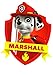 4 Inch Marshall Badge Paw Patrol Pup Wall Decal Sticker Pups Puppy Puppies Dog Dogs Removable Peel Self Stick Adhesive Vinyl Decorative Art Kids Room Home Decor Children 3 x 4 inches