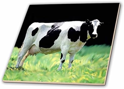 3dRose Holstein Cow - Ceramic Tile, 4-inch (ct_624_1) image 5