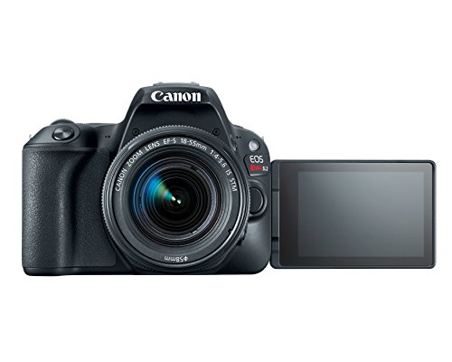 Canon EOS Rebel SL2 - Image 4