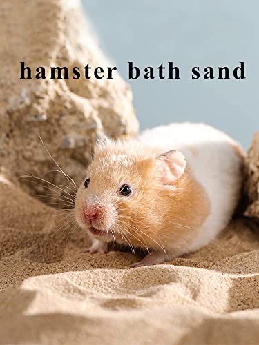 JFWOD Hamster Bath Sand, 3lb Dust Free Desert Sand or Potty Litter Sand for Hamster Chinchillas Gerbil Syrian Mice Small Animals(Beige) - Thumbnail 2