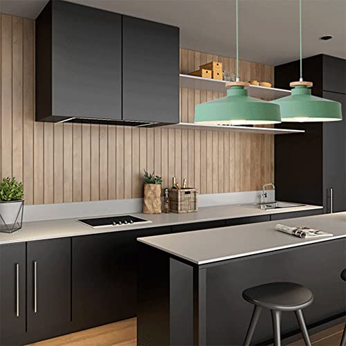 Lámpara de techo moderna industrial E27 para decoración de café y loft 3