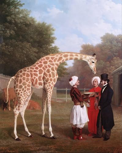 Tableau Girafe nubienne Jacques Laurent Agasse, image sur toile et affiche décoration murale