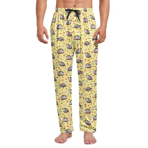 Men's Pajama Pants Lounge Sleep Bottoms Funny PJ Pants Sleepwear for Men
