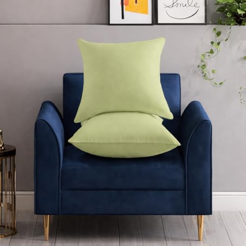 Image of Premium Polyester Fiber Cushion Fillers - Pack of 2 Pcs | 12 x 12 Inches | Sage| Cushions, Sofa Pillow, Cushion for Sofa, Cushion for Bed, Decorative Pillow, Pillow for Support