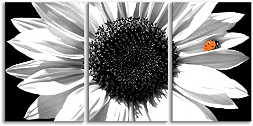 Lienzo girasol 3 piezas,arte pared Cover