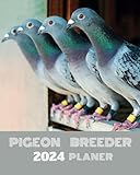 Pigeon Breeder: For Pigeon Lovers | Pigeons Loft Organizer and Band Number Tracker for Managing All Important Data to Improve Results Year By Year. ... Help How to Breed Homing Pigeons in Fancier.