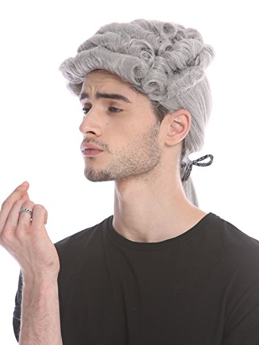 WIG ME UP - DH1126-ZA68E Baroque Hommes Perruque Gentilhomme Lord Juge compositeur de Cour poète Gris bouclée Longue natte
