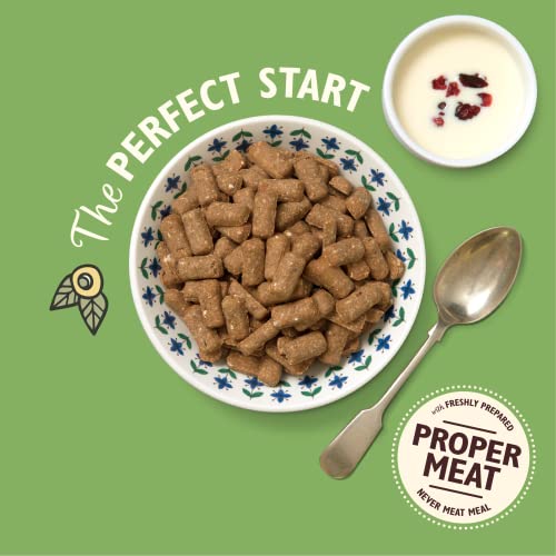 Lily's Kitchen Natural Adult Dry Dog Food - Breakfast Crunch Chicken, Turkey & Yoghurt - Complete Meal Recipes (6 Boxes x 800g) - Image 4
