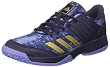  adidas Damen Ligra 5 W Volleyballschuhe, Blau (Tinnob/Dormet/Purtiz 000), 36 EU