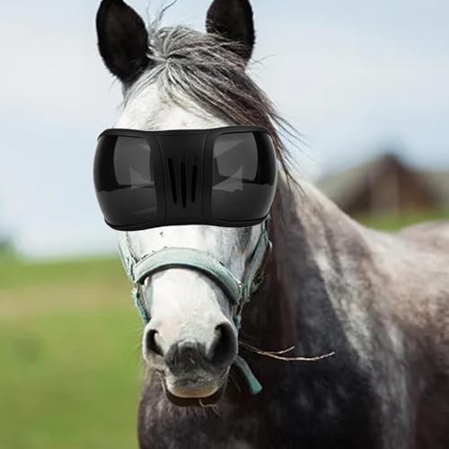 Lunettes d'équitation sangle réglable et protection des yeux chevaux - 4