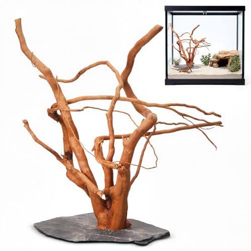 AceOrbit Large Driftwood for Aquarium, 12-15 Inch Spider Wood on