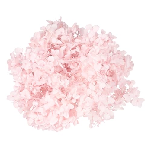 Gatuida Foglie di Ortensia Essiccate Naturali Colore Rosa per Decorazioni Fiori Art di Fiori Secchi Eterni per Feste Compleanno e Matrimonio DIY