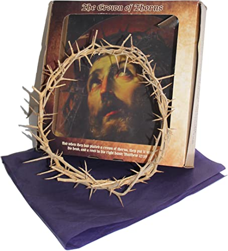 Holy Land Market Authentic Jesus Thorn Crown from The Holy Land - Gift Box 10-11 in Religious Decor