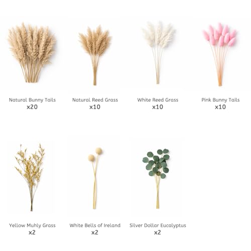 Ramo Natural de 46 Tallos de Flores Secas para Decoración miniatura 4