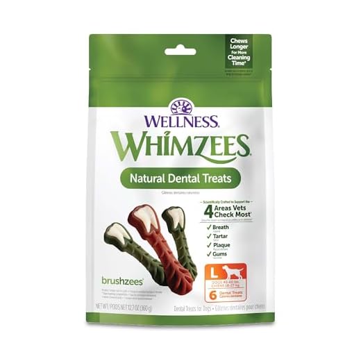 Whimzees Wellness Brushzees Dog Dental Treats, Large Size Stick, (6 Count)